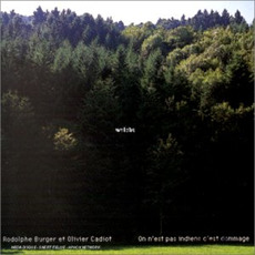 Welche : On n'est pas indiens c'est dommage mp3 Album by Rodolphe Burger & Olivier Cadiot