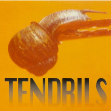 Tendrils mp3 Album by Joel Silbersher & Charlie Owen