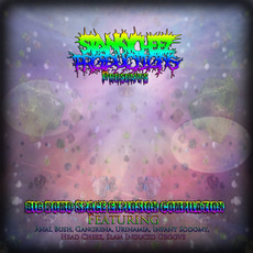 Big Homo Space Explosion Compilation mp3 Compilation by Various Artists