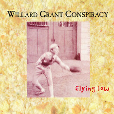 Flying Low mp3 Album by Willard Grant Conspiracy