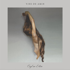 Yine De Amin mp3 Album by Ceylan Ertem