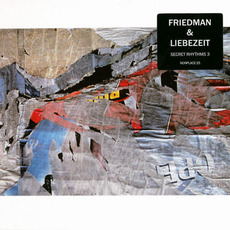 Secret Rhythms 3 mp3 Album by Burnt Friedman & Jaki Liebezeit