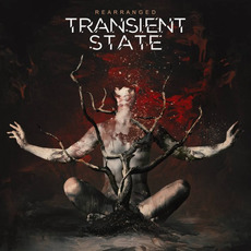Rearranged mp3 Album by Transient State