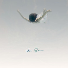 Bruises mp3 Album by Dia Frampton