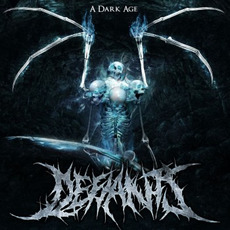 A Dark Age mp3 Album by Defiants