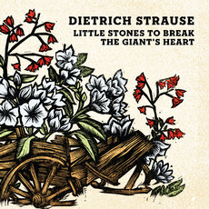 Little Stones to Break the Giant's Heart mp3 Album by Dietrich Strause