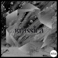 Temple Fortune mp3 Album by Brassica