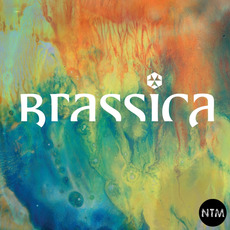 Hayat Zor EP mp3 Album by Brassica
