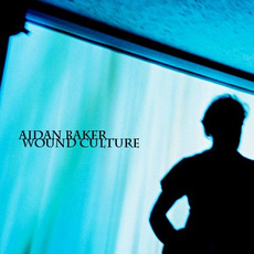 Wound Culture mp3 Album by Aidan Baker