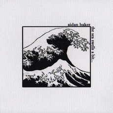 The Sea Swells a Bit... mp3 Album by Aidan Baker