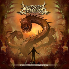 Prelude To Perversion mp3 Album by Vermis Antecessor