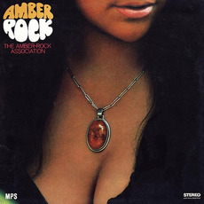 Amber Rock mp3 Album by The Amber-Rock Association