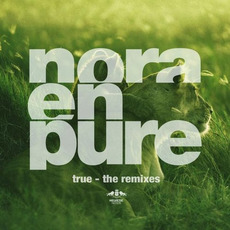 True (The Remixes) mp3 Remix by Nora En Pure