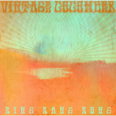 Sing Sang Sung mp3 Album by Vintage Cucumber