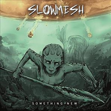 Something New mp3 Album by Slowmesh