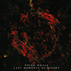 Last Moments Of Misery mp3 Album by Dying Whale