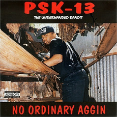 No Ordinary Aggin mp3 Album by PSK-13