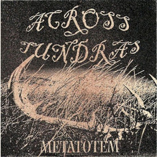 Metatotem mp3 Album by Across Tundras