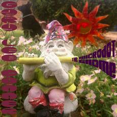 The Microdot Gnome mp3 Album by Gary Lee Conner