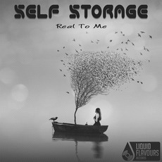 Real To Me mp3 Album by Self Storage
