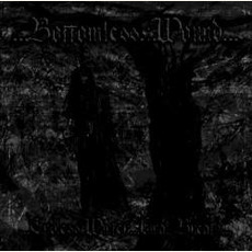 ...Endless Winter...Final Breath... mp3 Single by Bottomless Wound