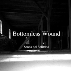Senda del Solitario mp3 Album by Bottomless Wound