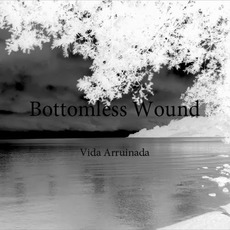 Vida Arruinada mp3 Album by Bottomless Wound