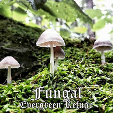 Fungal mp3 Album by Evergreen Refuge