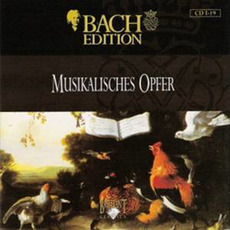 Bach Edition, I: Orchestral Works/Chamber Music, CD19 mp3 Artist Compilation by Johann Sebastian Bach