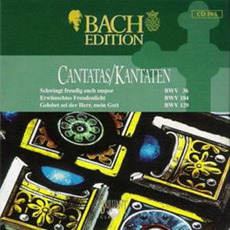 Bach Edition, IV: Cantatas II, CD5 mp3 Artist Compilation by Johann Sebastian Bach