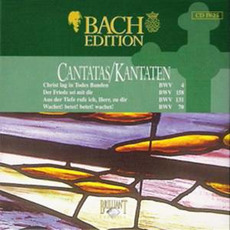 Bach Edition, IV: Cantatas II, CD25 mp3 Artist Compilation by Johann Sebastian Bach
