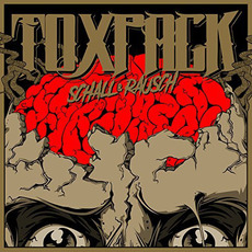 Schall und Rausch mp3 Album by Toxpack