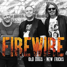 Old Dogs New Tricks mp3 Album by Firewire