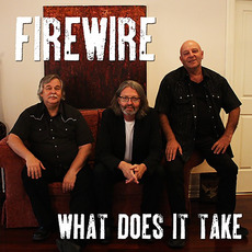 What Does It Take mp3 Album by Firewire
