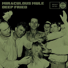 Deep Fried mp3 Album by Miraculous Mule