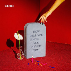 How Will You Know If You Never Try mp3 Album by COIN (USA)