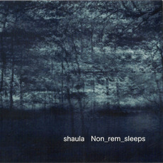 Non_rem_sleeps mp3 Album by Shaula
