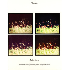 Adenium mp3 Album by Shaula