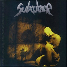 Shadoworld mp3 Album by Subcutane