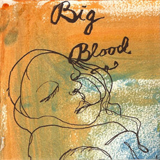 Strange Maine 11.04.06 mp3 Album by Big Blood