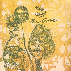The Grove mp3 Album by Big Blood
