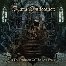 In the Darkness of the Lost Forest mp3 Album by Dying Suffocation