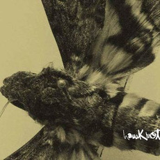 Hawkmoth mp3 Album by Hawkmoth