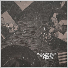 Wonder Years mp3 Album by Sean David Grant