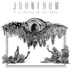 A Stirring in the Noos mp3 Album by John Frum