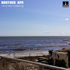 Worlds Waiting mp3 Album by Brother Ape