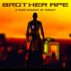 A Rare Moment of Insight mp3 Album by Brother Ape