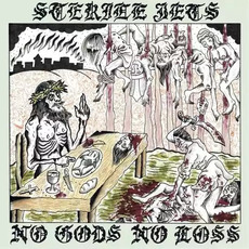 No Gods No Loss mp3 Album by Sterile Jets