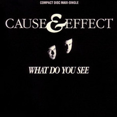 What Do You See mp3 Single by Cause & Effect