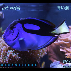 Blue Waters Vol. 1 mp3 Album by Oceanside85